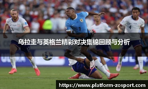 中欧体育官网