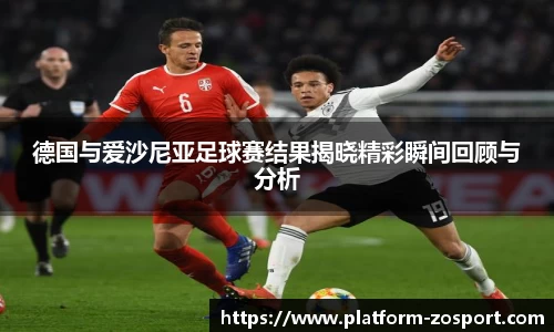 中欧体育